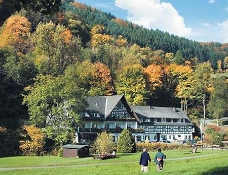 Tommes Gaestehaus Zur Muehle Шмалленберг Екстер'єр фото