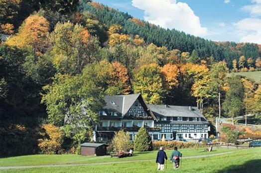 Tommes Gaestehaus Zur Muehle Шмалленберг Екстер'єр фото