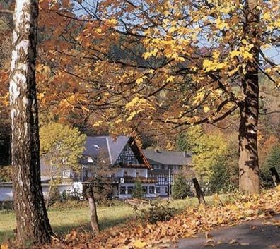 Tommes Gaestehaus Zur Muehle Шмалленберг Екстер'єр фото